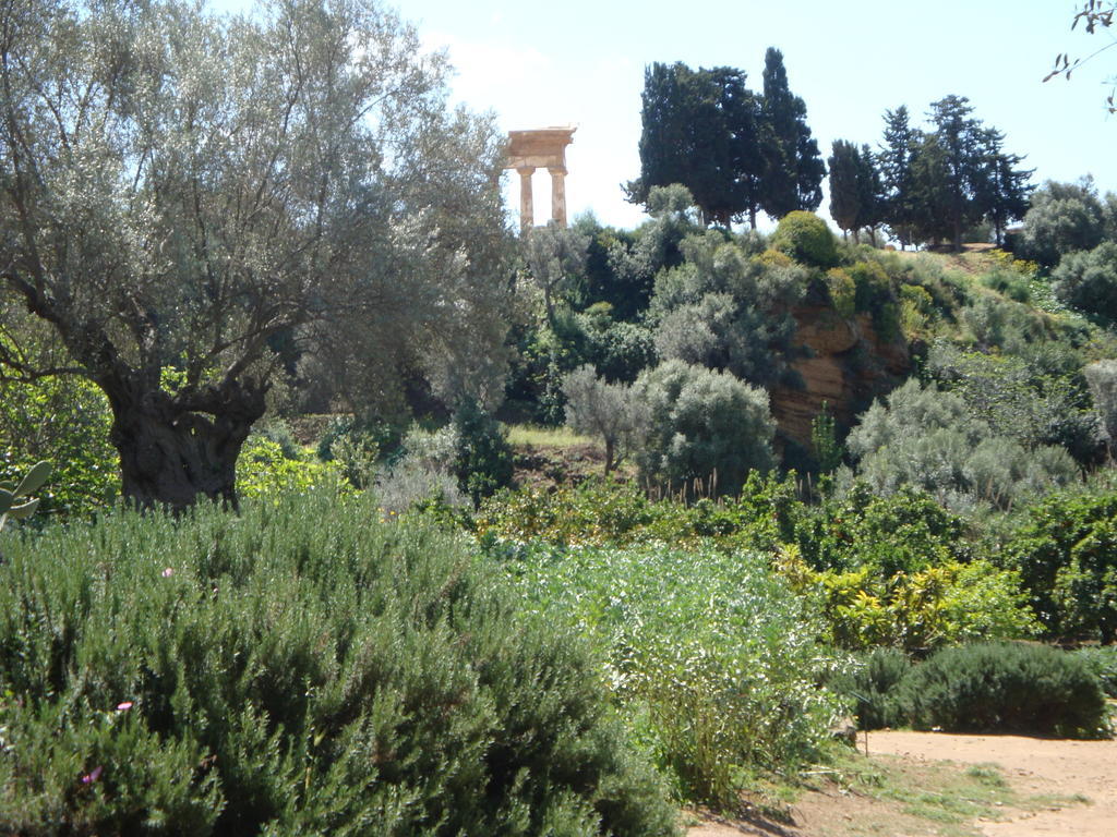 Guest House Artemide Agrigento Bagian luar foto